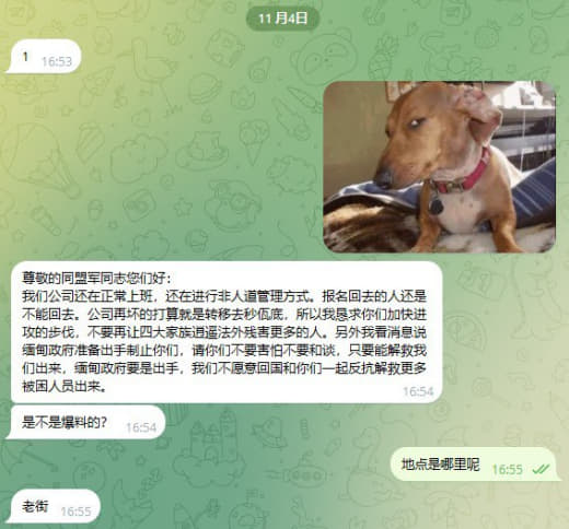 来自一位老街狗推的自诉：